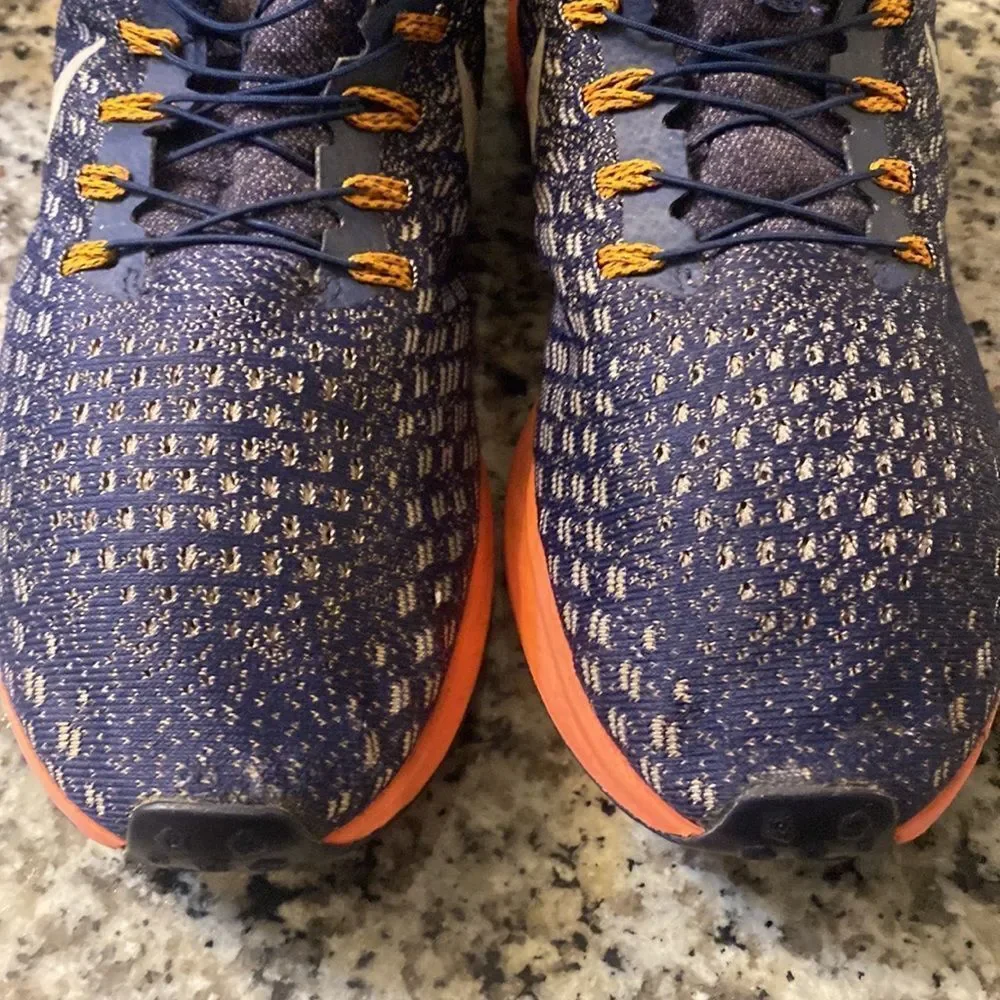 Nike Air Zoom Pegasus